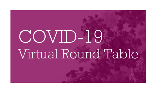 COVID 19 Virtual Round Table Carousel_IQSS