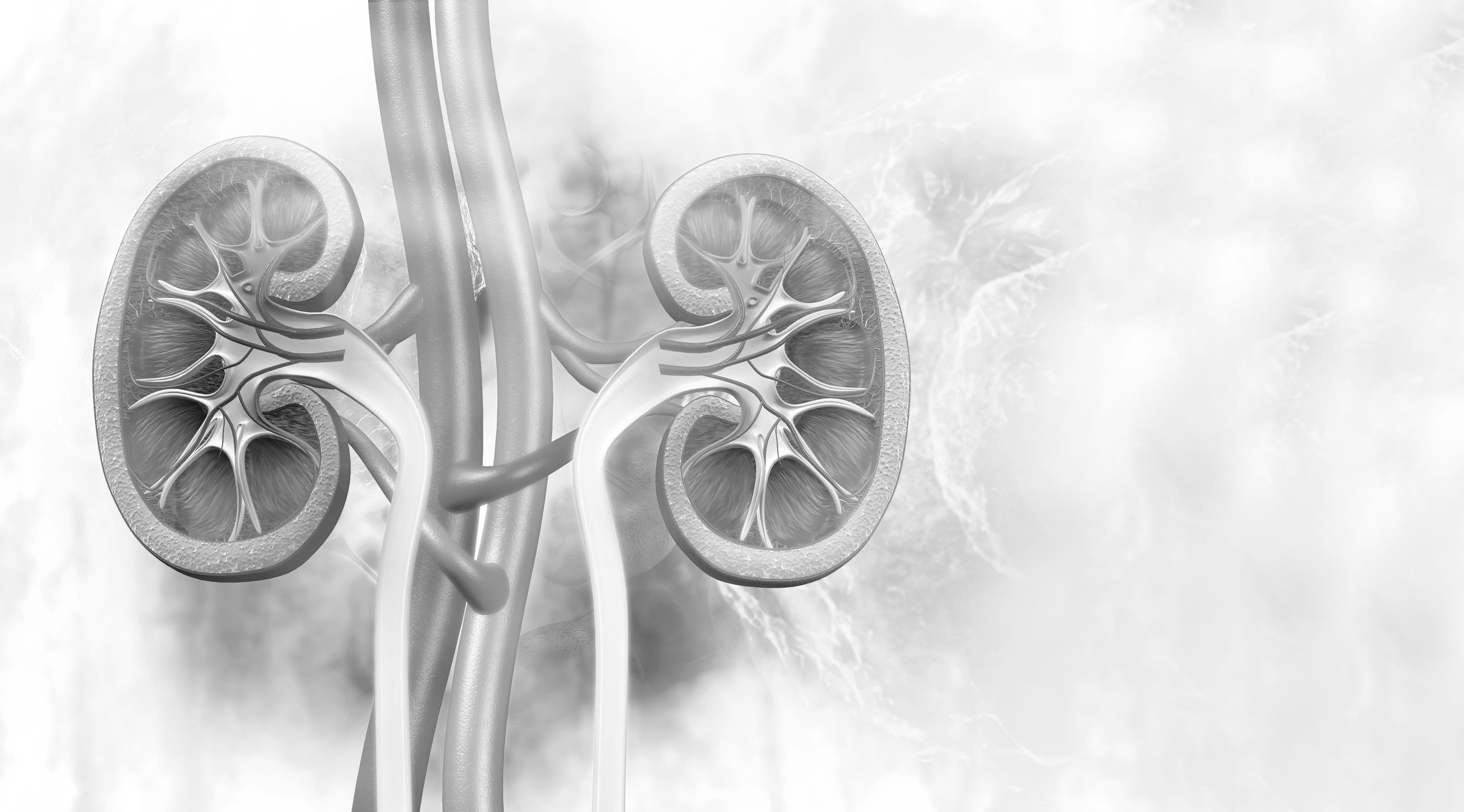 iStock-1003372082_bw