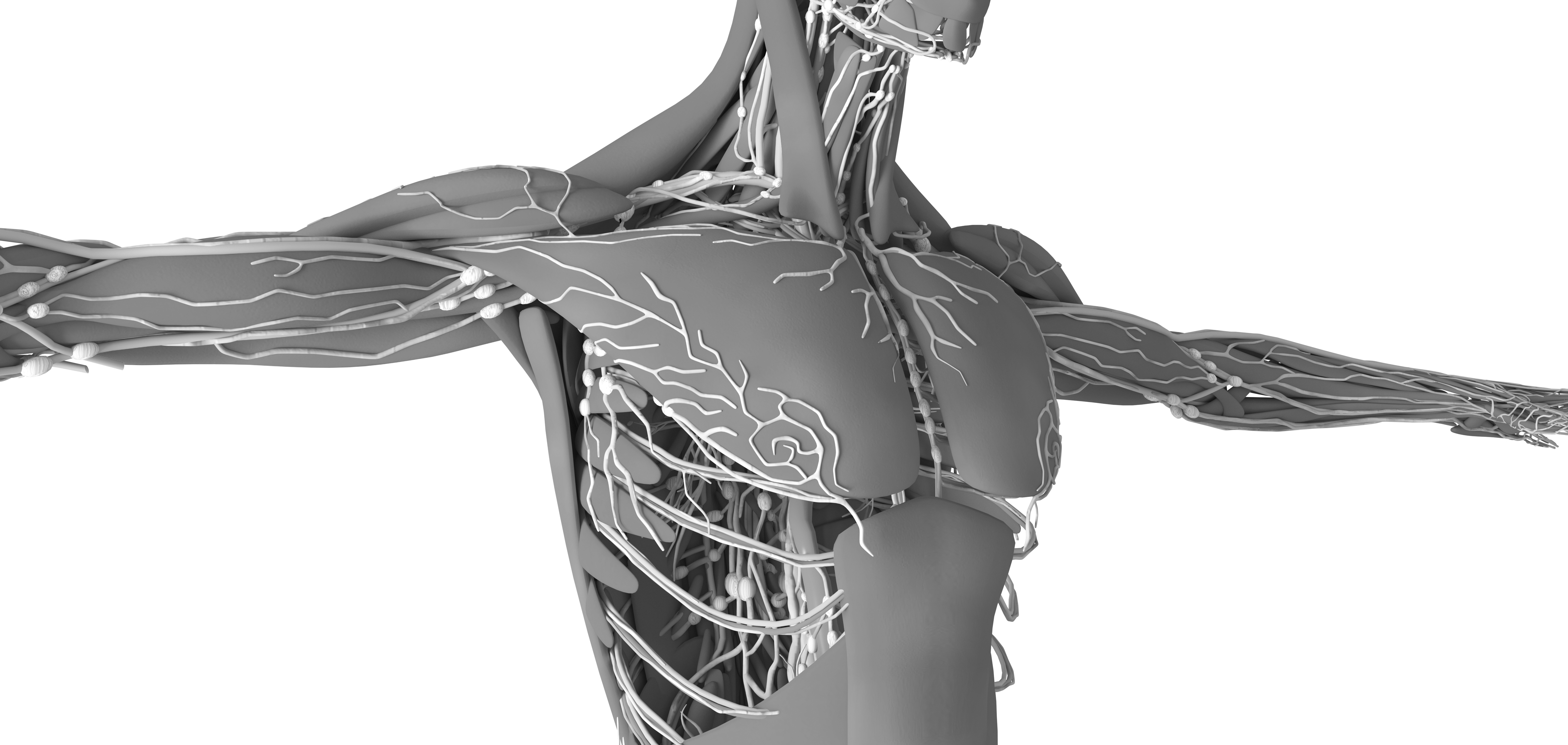 iStock-937685792_bw